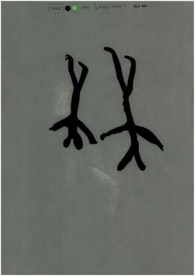00000019