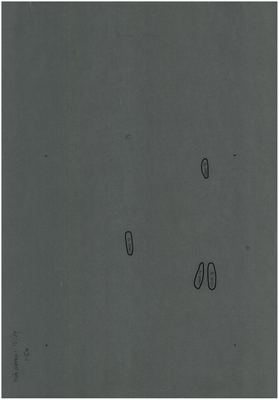 00000386
