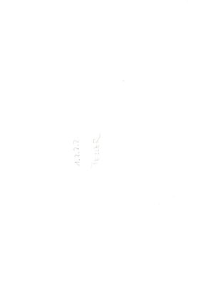 00000065