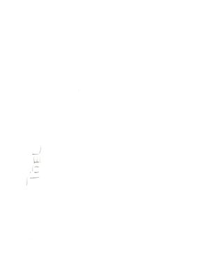 00000028