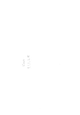 00000055