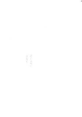 00000029