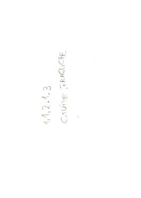 00000053