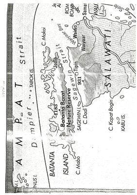 00000003