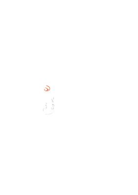 00000004