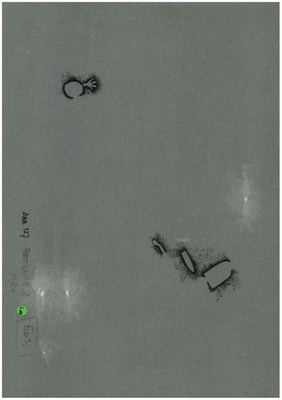 00000087