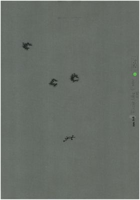 00000119