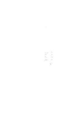 00000205