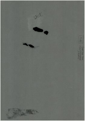 00000201