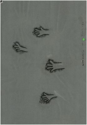 00000238