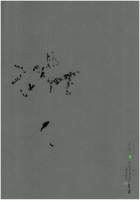 00000247
