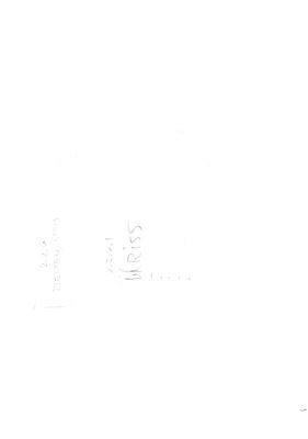 00000104