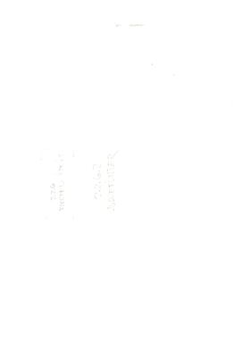 00000132