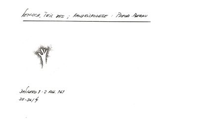 Card S1-K01-00001089 — facsimile