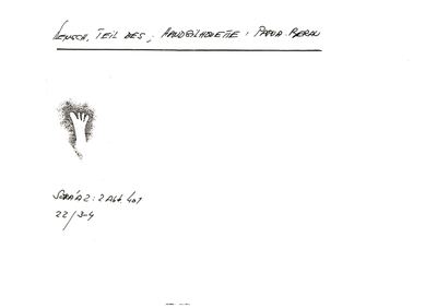 Card S1-K01-00001114 — facsimile