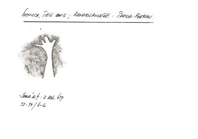 Card S1-K01-00001116 — facsimile