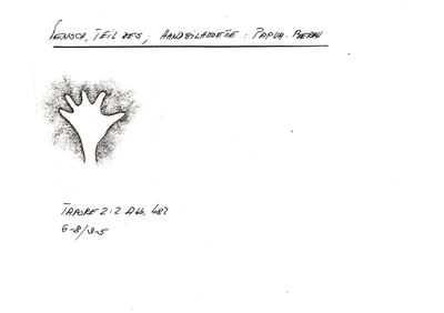S1-K01-00001184