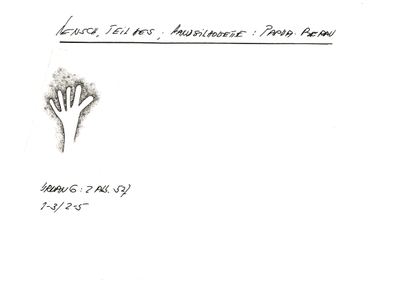 Card S1-K01-00001191 — facsimile