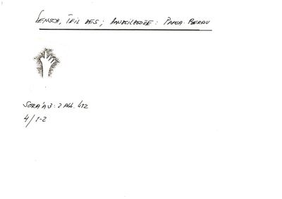Card S1-K01-00001236 — facsimile