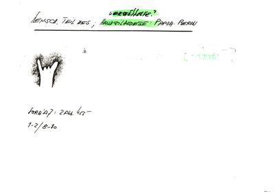 Card S1-K01-00001243 — facsimile