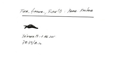 S1-K02-00000665