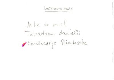 Card S1-K02-00000797 — facsimile