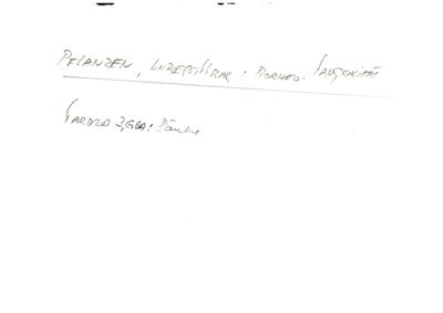 Card S1-K02-00000799 — facsimile