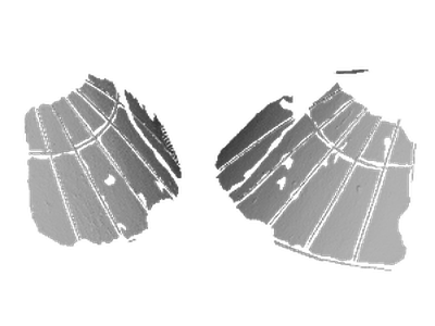 Day Curve Equinoctium
