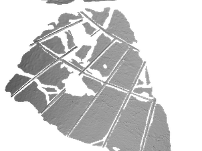 Day Curve Equinoctium