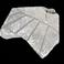 Dialface ID 351