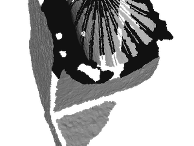 Dialface