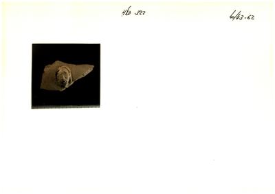 S2-K03-00001119