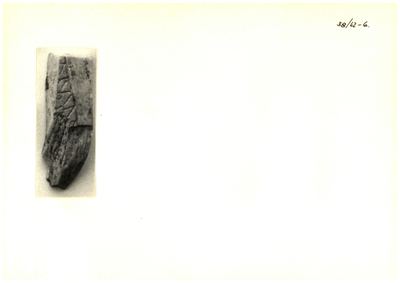 S2-K03-00000476