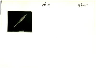 S2-K03-00000547