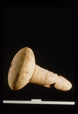 IMG017