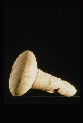 IMG025