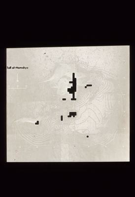 IMG044