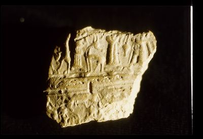 IMG059