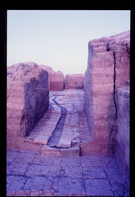 IMG084