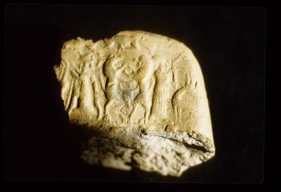 IMG095