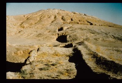 IMG015