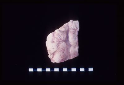 IMG062