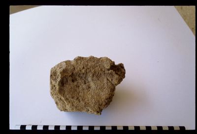 IMG015