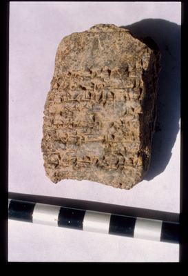 IMG001