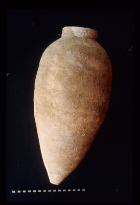 IMG027