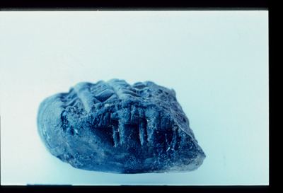 IMG041